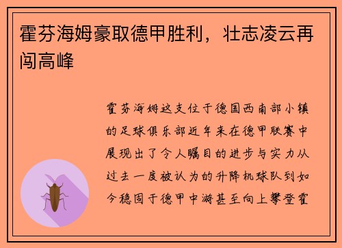 霍芬海姆豪取德甲胜利，壮志凌云再闯高峰